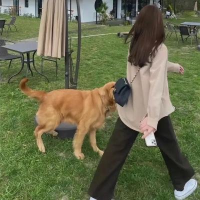 结婚白皮书